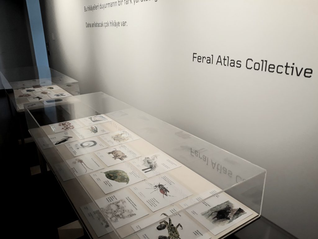 Feral Atlas Collective (Yabanıl Atlas Kolektifi)